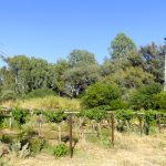 022_kk_Wasserturm_Bohrloch